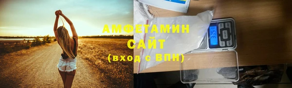 шишки Алзамай