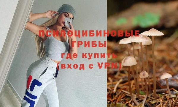 шишки Алзамай