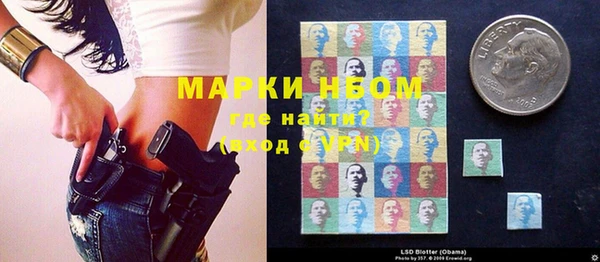 шишки Алзамай