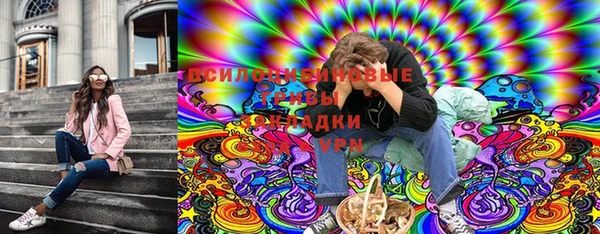 a pvp Алексин