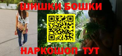 apvp Партизанск
