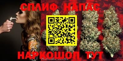 apvp Партизанск