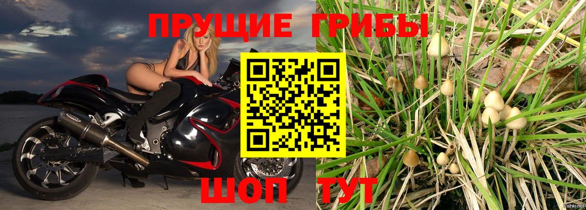 Галлюциногенные грибы ЛСД Чебоксары