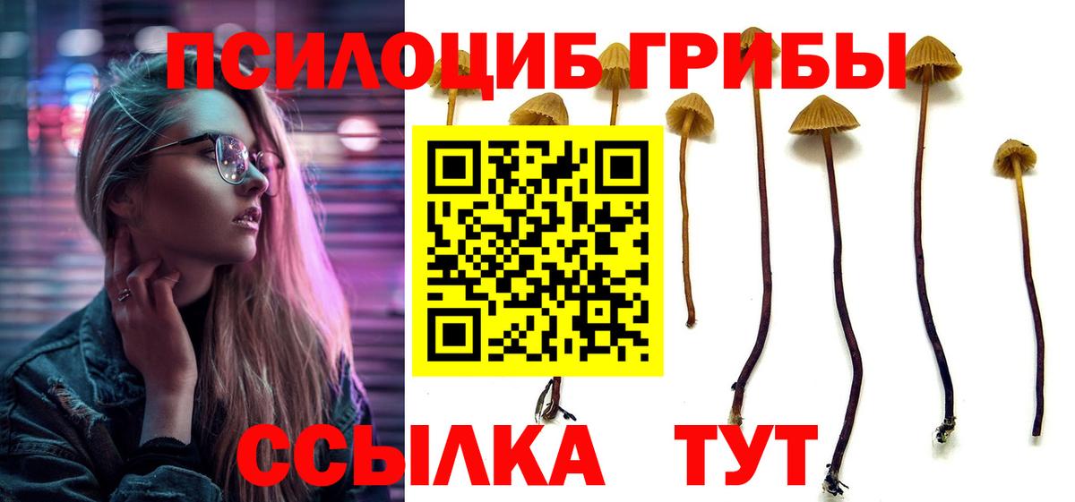 Псилоцибиновые грибы Psilocybine cubensis  Вход с VPN  Чебоксары  Галлюциногенные грибы Psilocybine cubensis 